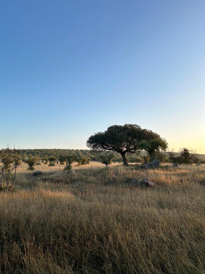 Monte De Santa Maria Villa Monsaraz Eksteriør bilde