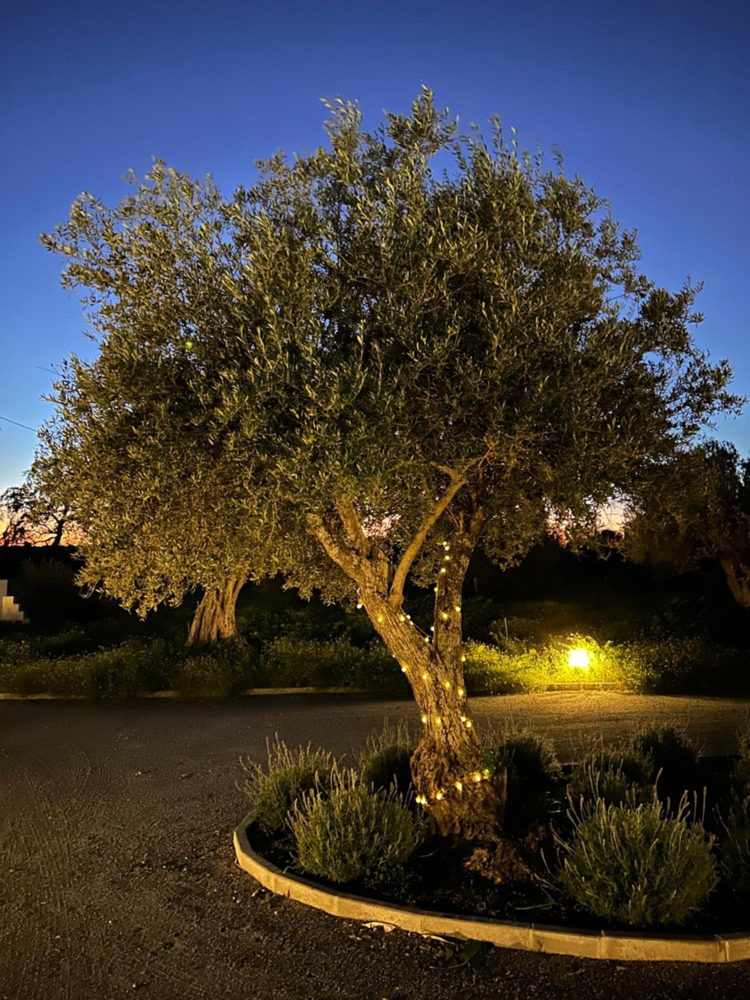 Monte De Santa Maria Villa Monsaraz Eksteriør bilde